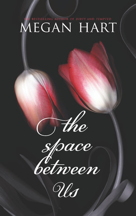 Title details for The Space Between Us by Megan Hart - Available